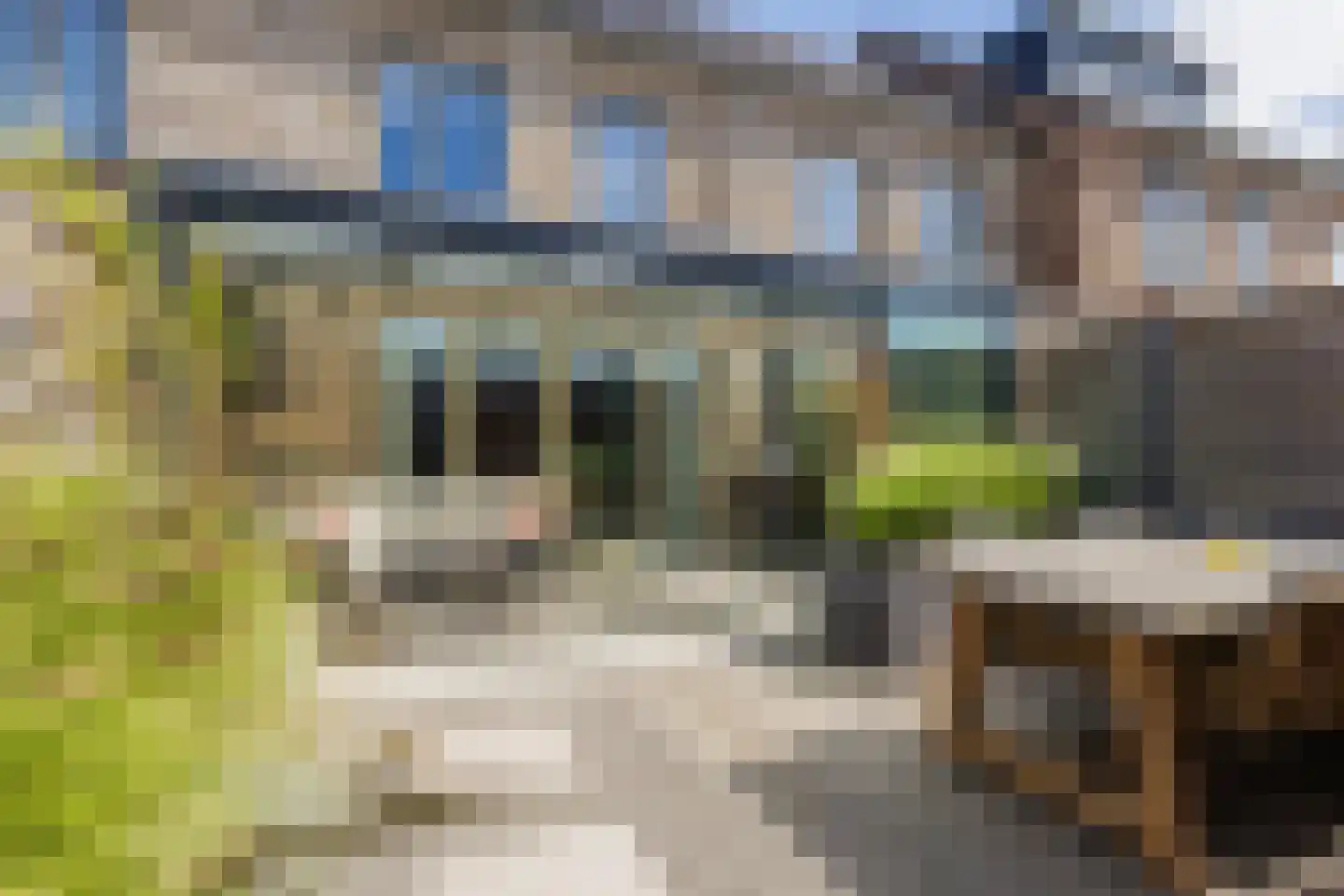 Silenus 92 Cuijk thumbnail 29