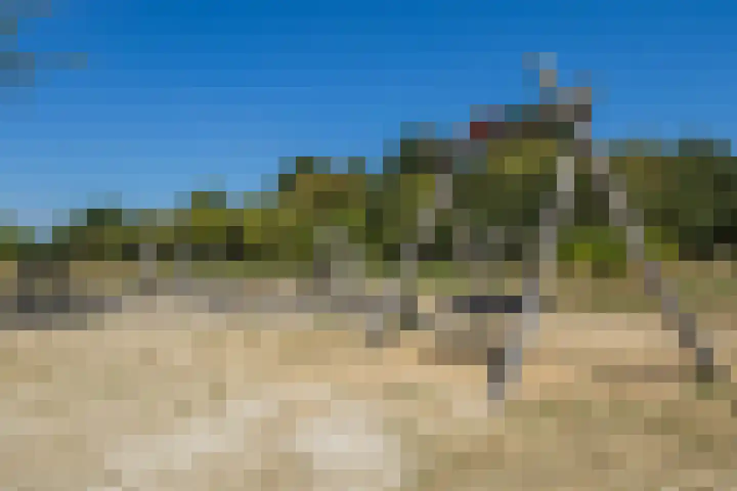 Silenus 92 Cuijk thumbnail 32