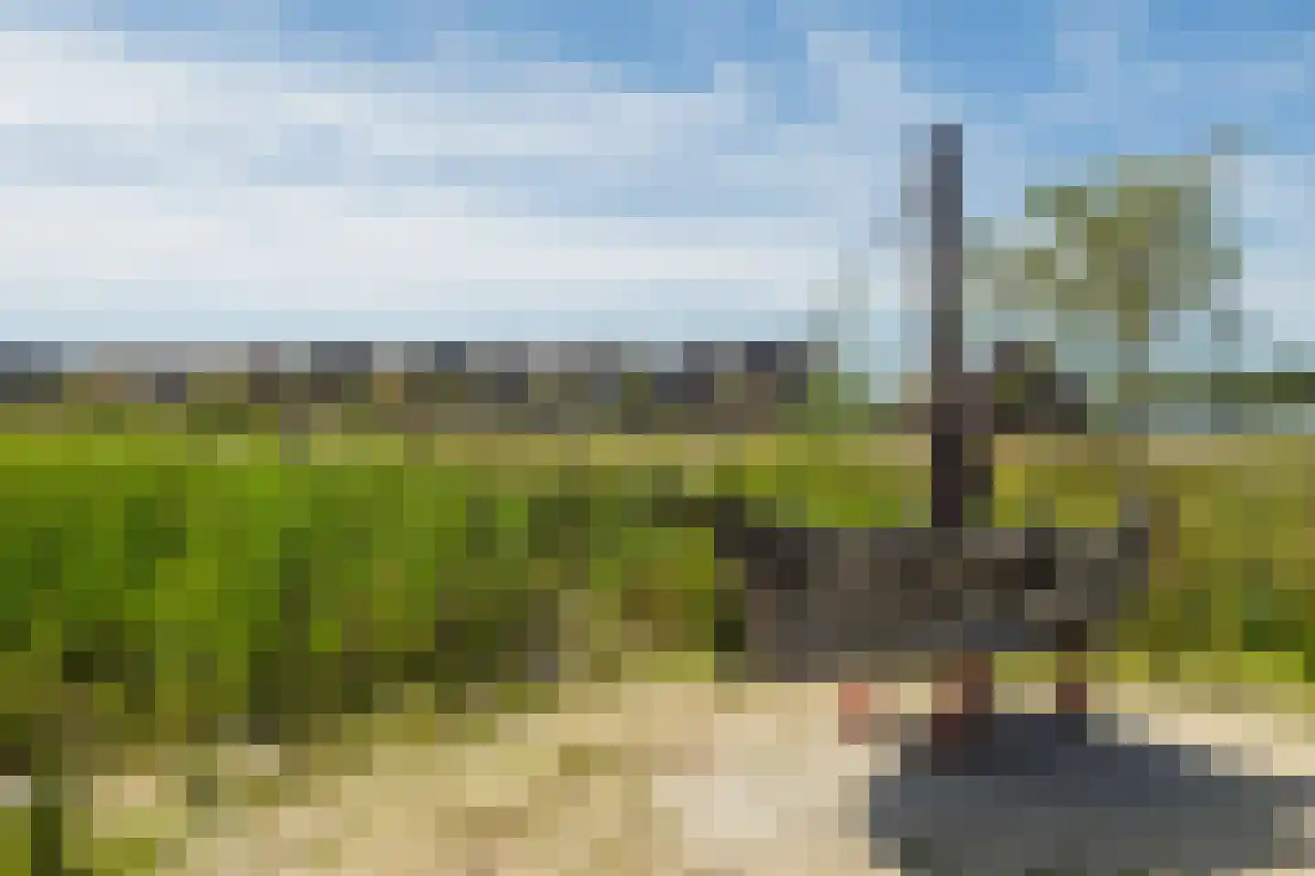 Silenus 92 Cuijk thumbnail 33