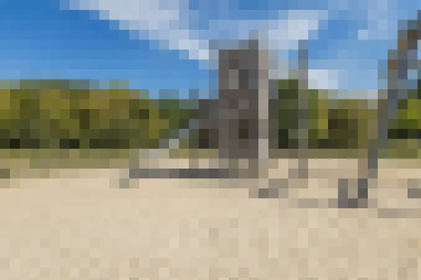 Silenus 92 Cuijk thumbnail 34