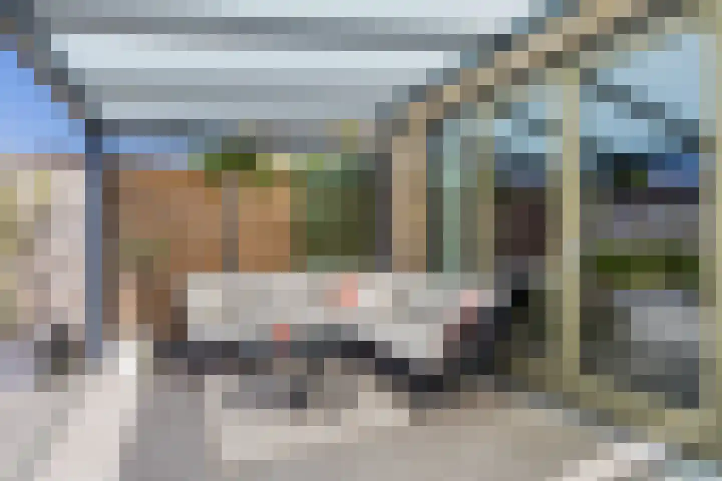 Silenus 92 Cuijk thumbnail 4