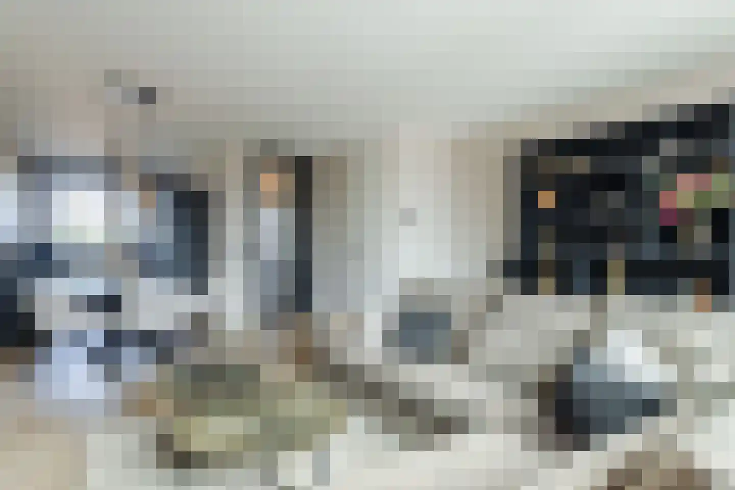 Silenus 92 Cuijk thumbnail 9