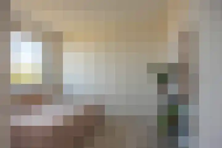 Silenus 94 Cuijk thumbnail 19