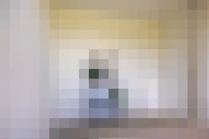 Silenus 94 Cuijk thumbnail 21