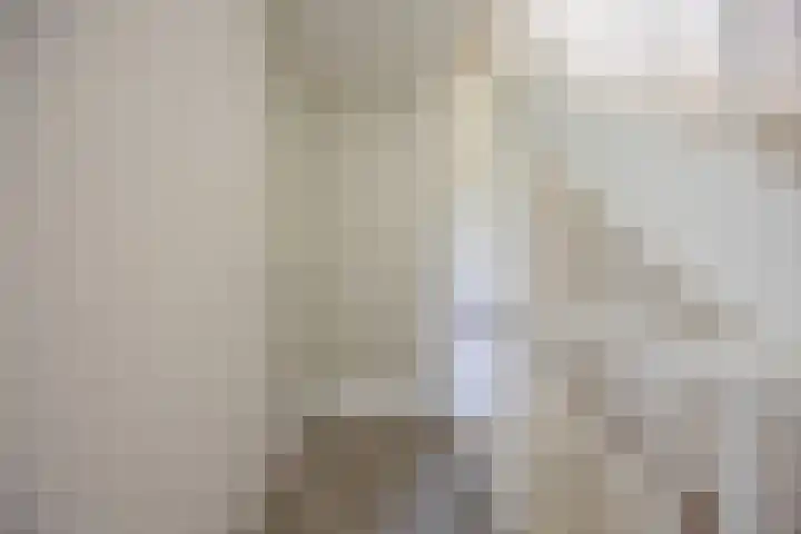 Silenus 94 Cuijk thumbnail 22