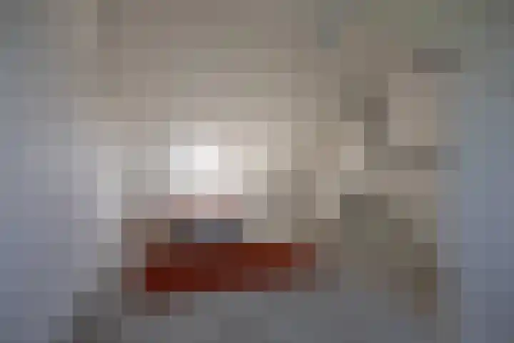 Silenus 94 Cuijk thumbnail 28