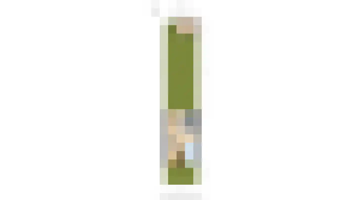 Silenus 94 Cuijk thumbnail 35