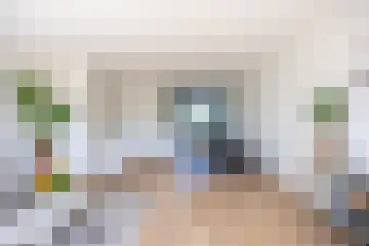 Silenus 94 Cuijk thumbnail 4