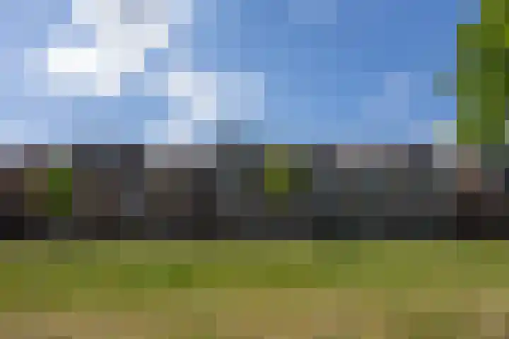 Silenus 94 Cuijk thumbnail 41