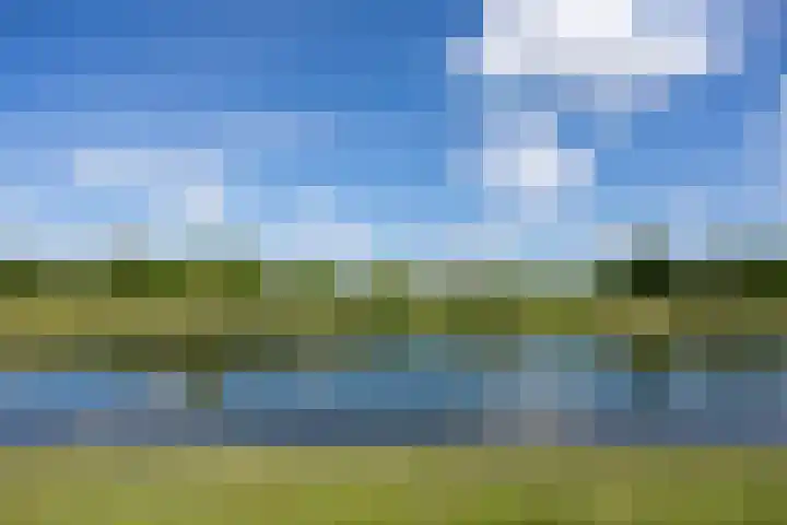 Silenus 94 Cuijk thumbnail 43
