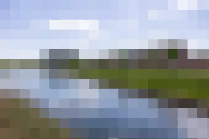 Silenus 94 Cuijk thumbnail 44