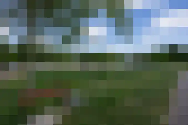Silenus 94 Cuijk thumbnail 46