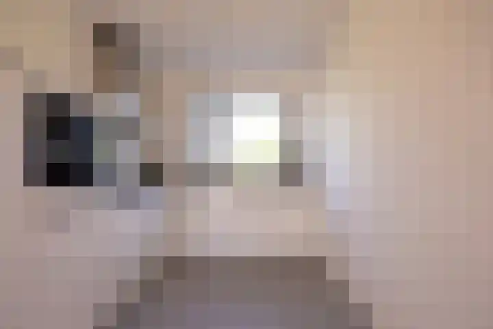 Silenus 94 Cuijk thumbnail 6