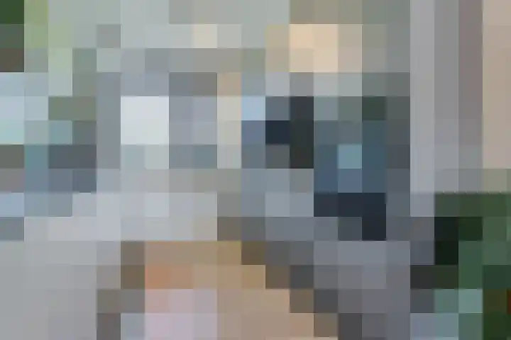 Silenus 96 Cuijk thumbnail 12