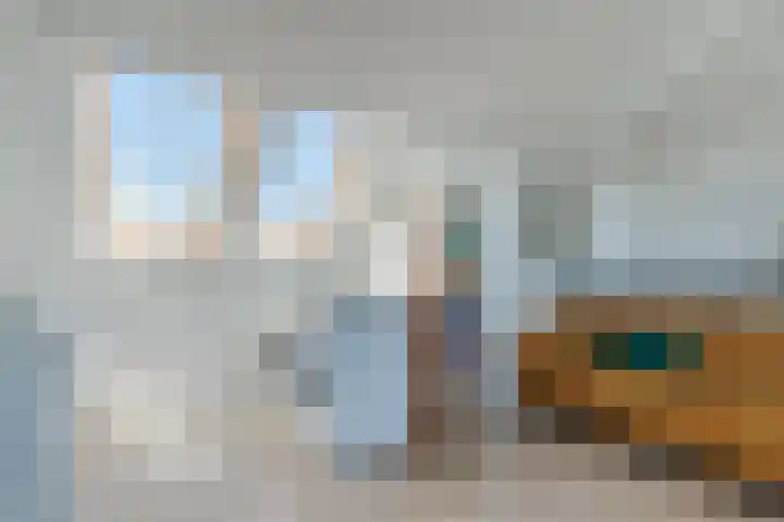 Silenus 96 Cuijk thumbnail 22