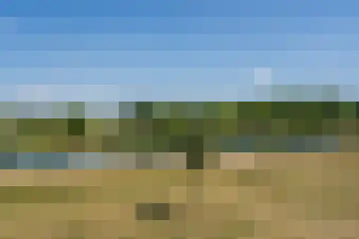 Silenus 96 Cuijk thumbnail 24