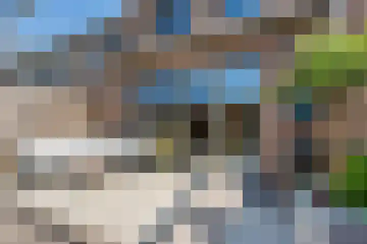 Silenus 96 Cuijk thumbnail 25