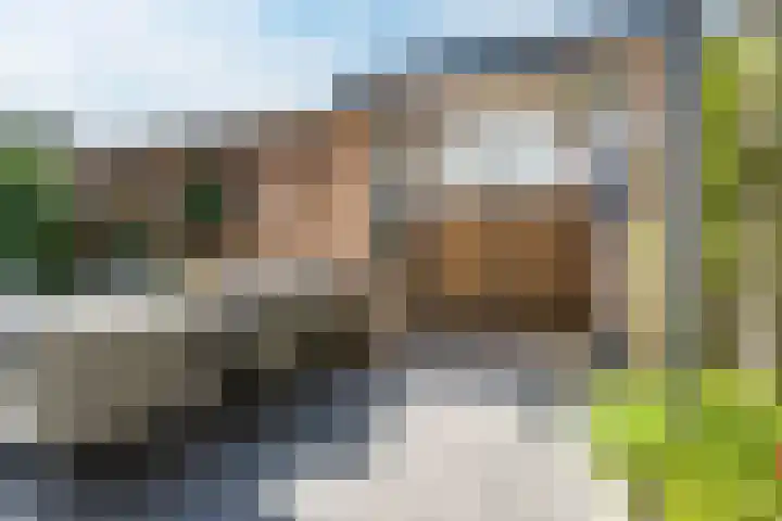 Silenus 96 Cuijk thumbnail 26