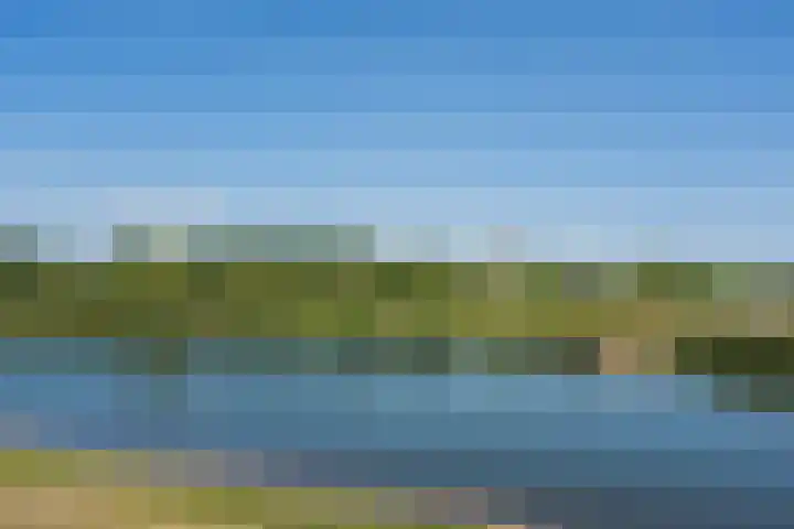 Silenus 96 Cuijk thumbnail 30