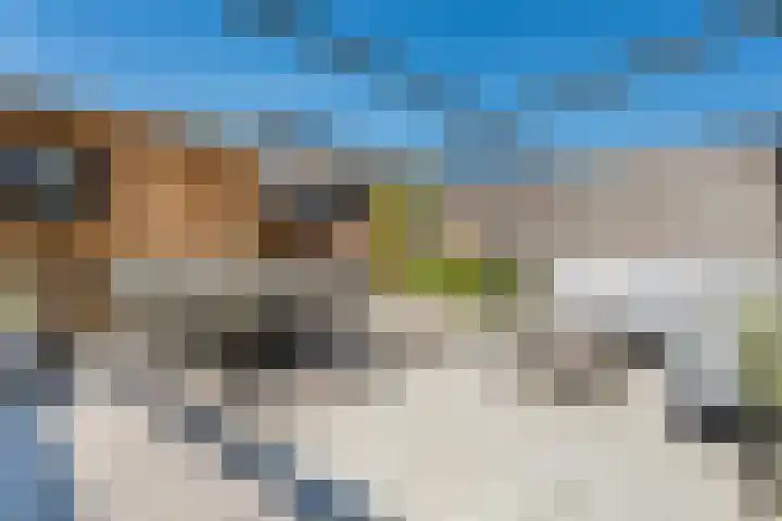 Silenus 96 Cuijk thumbnail 6
