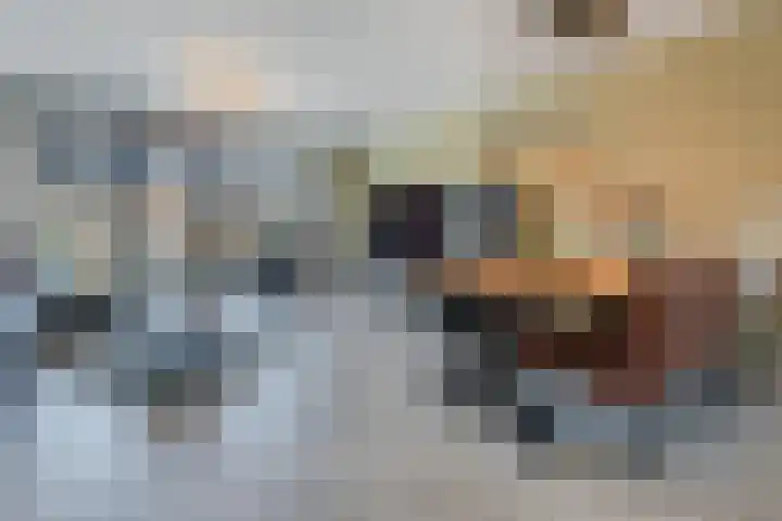 Silenus 96 Cuijk thumbnail 9