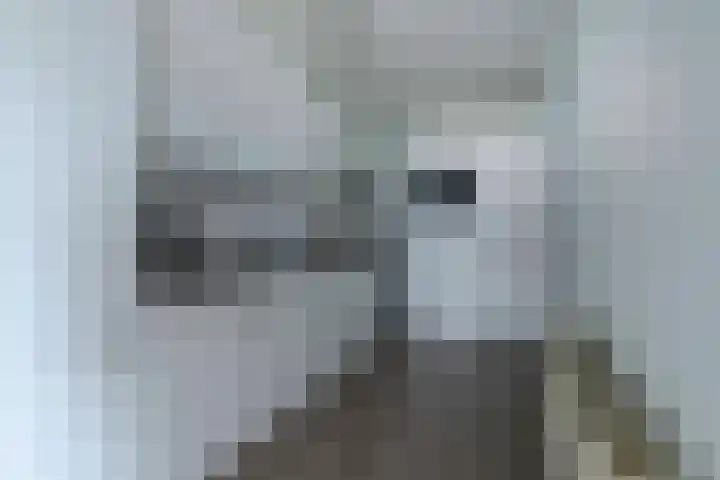 Silhof 37 Heerlen thumbnail 12