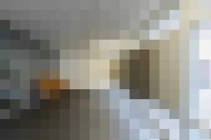 Silhof 37 Heerlen thumbnail 31