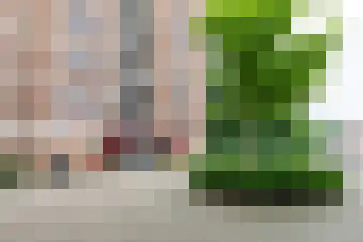 Silhof 6 Heerlen thumbnail 22