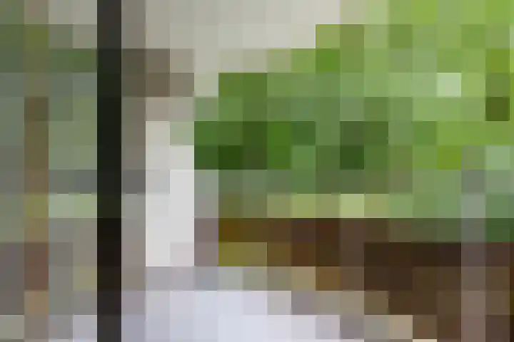 Silhof 6 Heerlen thumbnail 6
