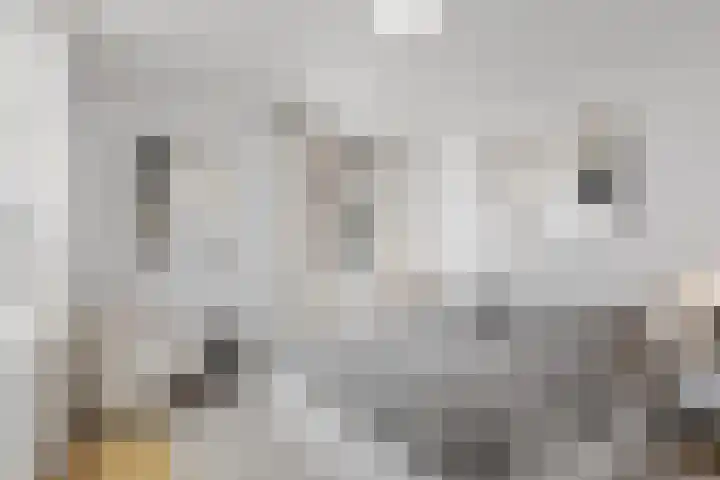 Silhof 6 Heerlen thumbnail 9