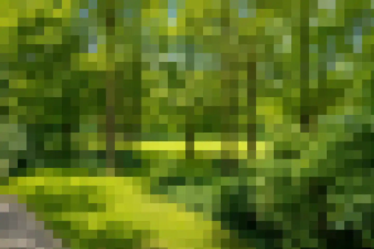 Silhof 6 Heerlen thumbnail 9