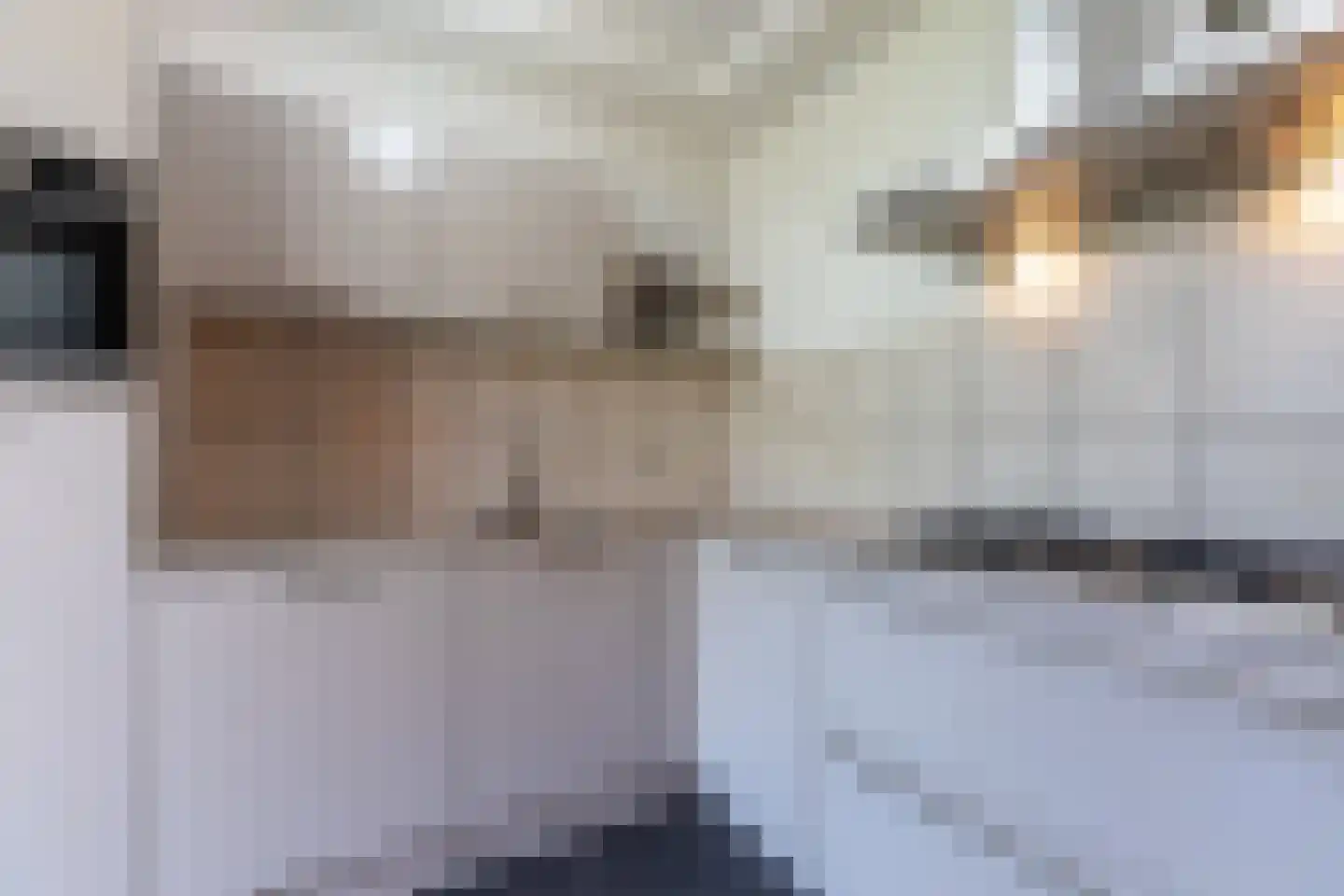 Silhof 77 Heerlen thumbnail 10