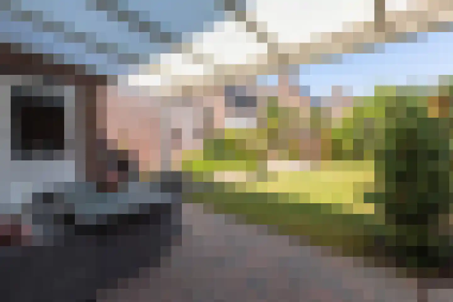 Silhof 77 Heerlen thumbnail 22