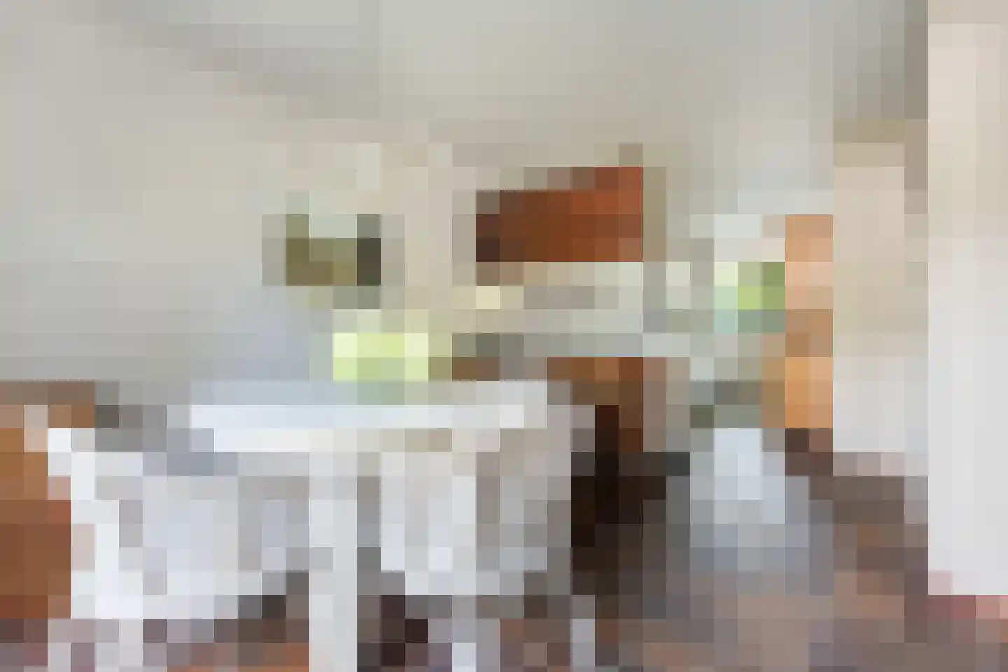Silkeborg 17 Capelle aan den IJssel thumbnail 4