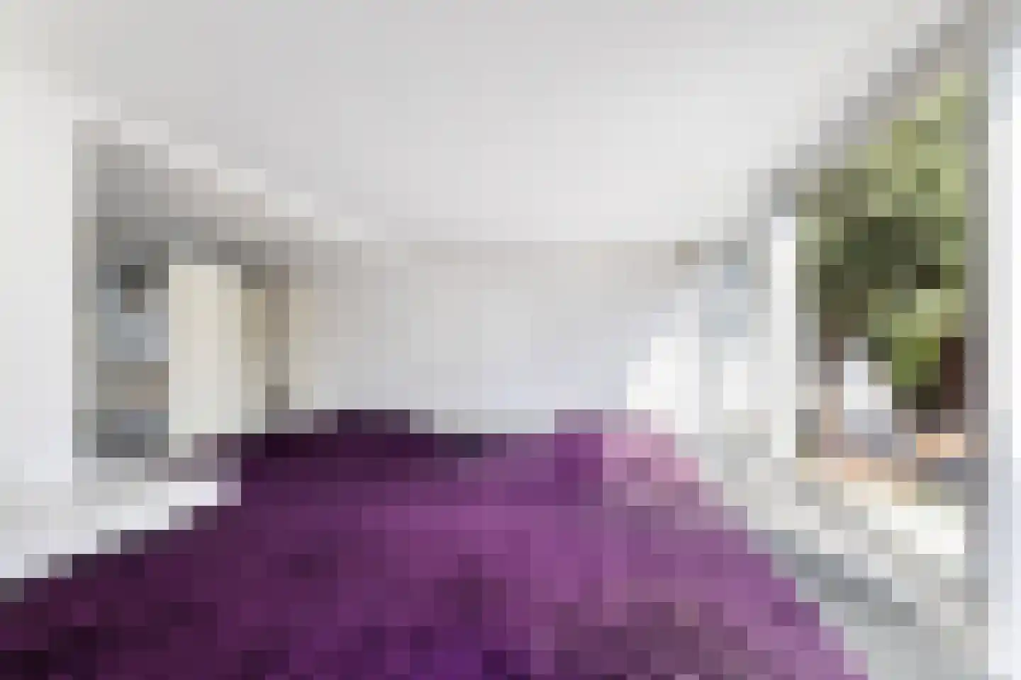 Silkeborg 18 Capelle aan den IJssel thumbnail 20