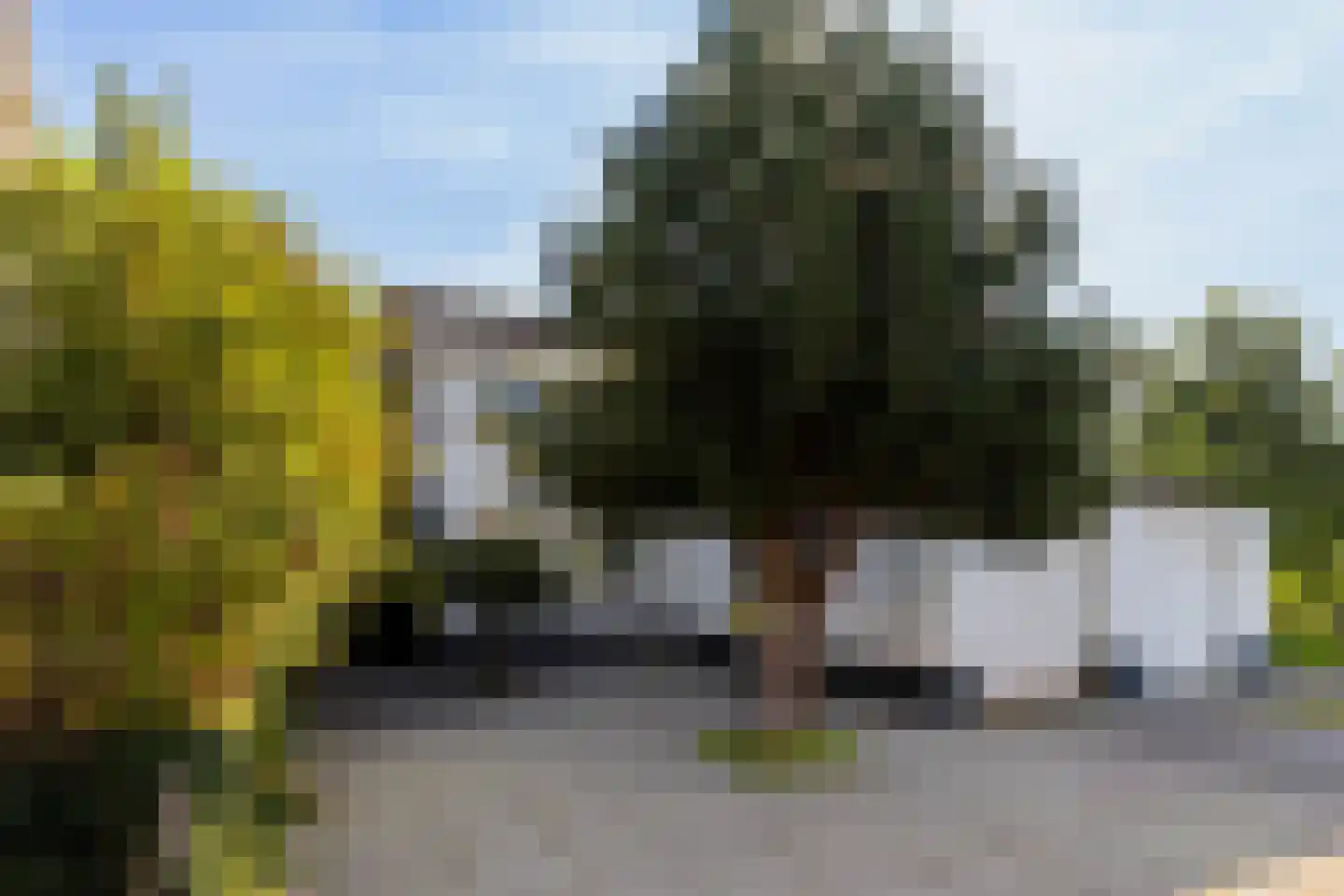 Silkeborg 18 Capelle aan den IJssel thumbnail 5