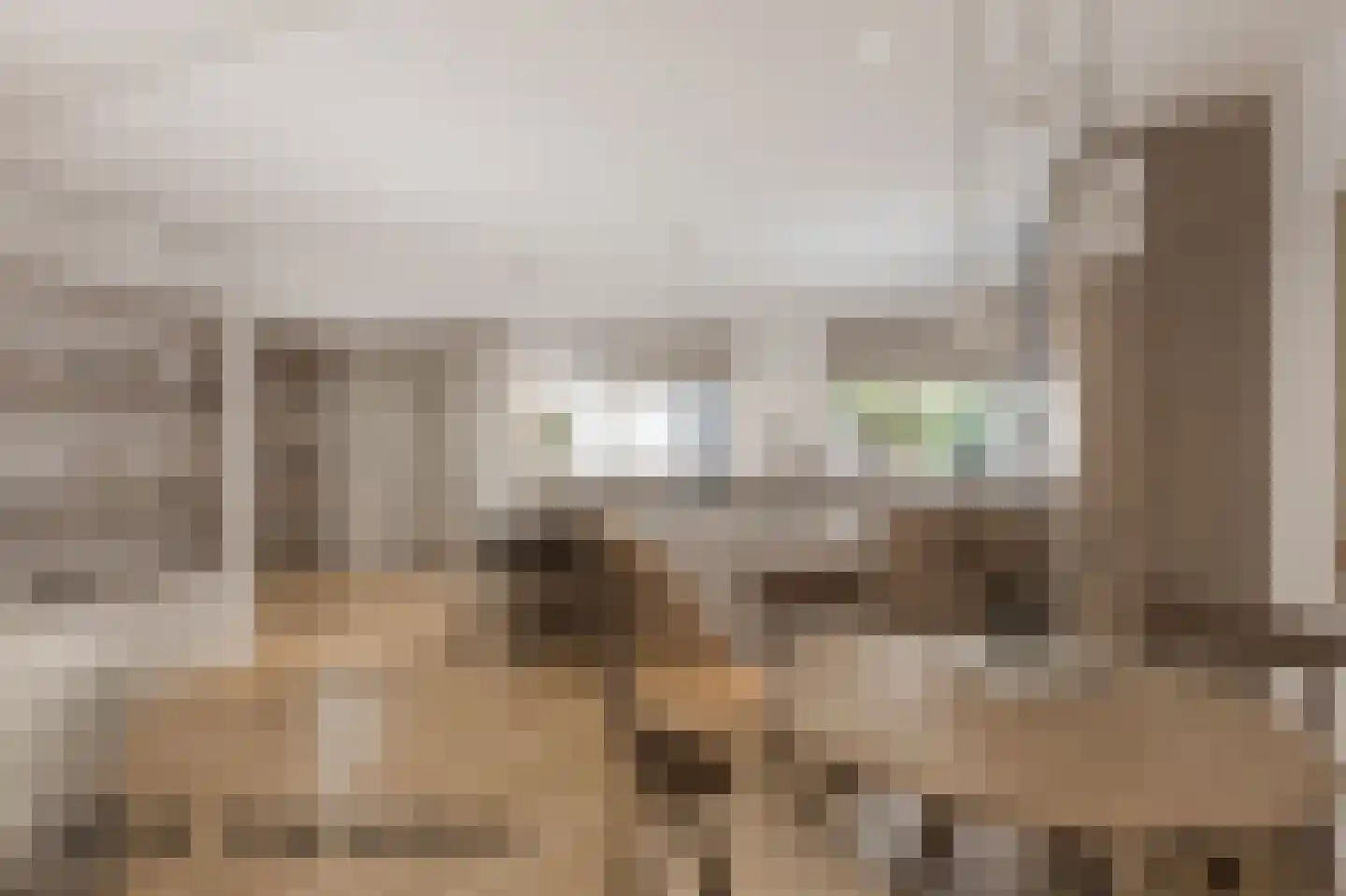 Silkeborg 18 Capelle aan den IJssel thumbnail 8