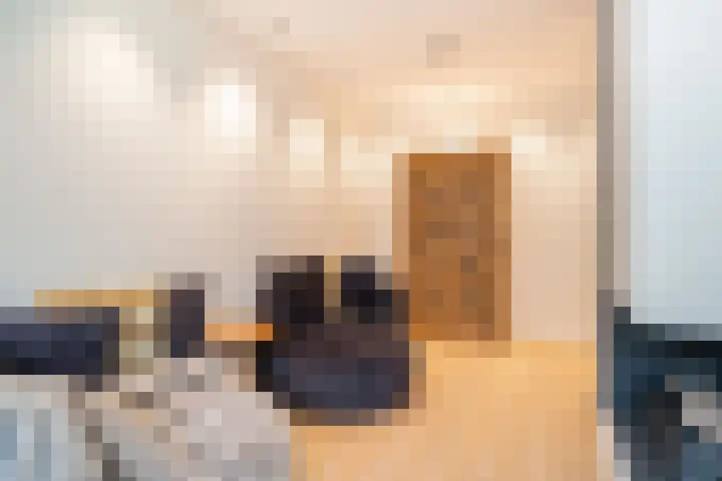 Silkeborg 3 Capelle aan den IJssel thumbnail 10