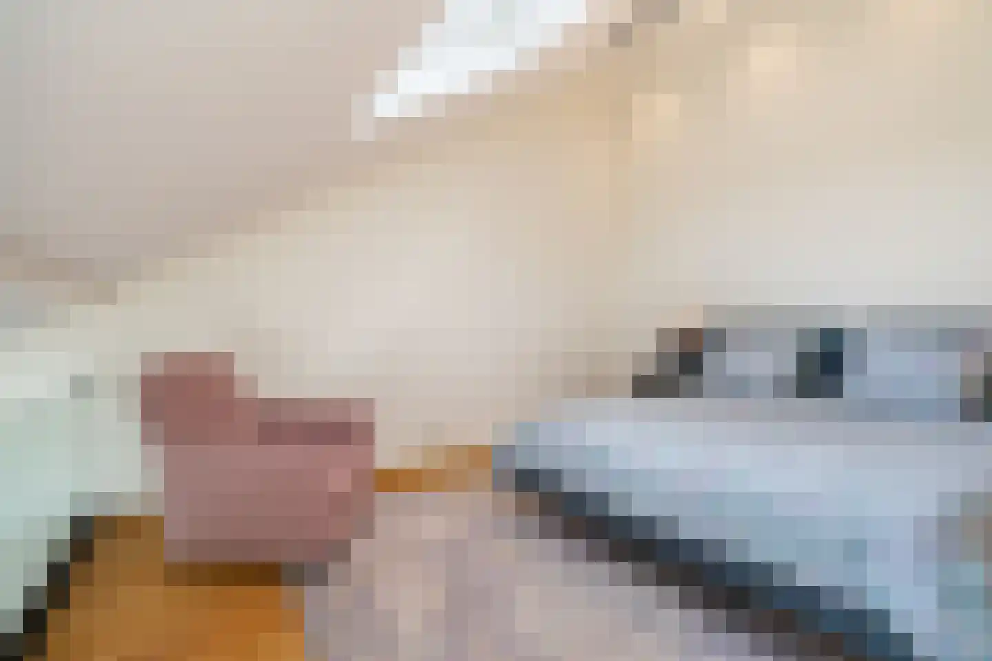 Silkeborg 3 Capelle aan den IJssel thumbnail 21