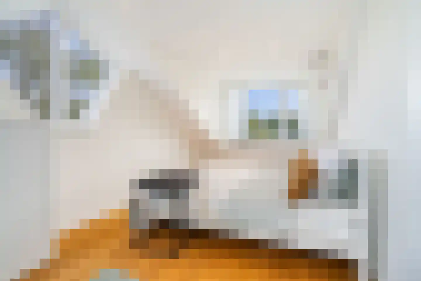 Silkeborg 3 Capelle aan den IJssel thumbnail 25