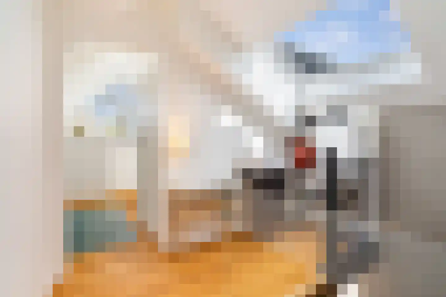 Silkeborg 3 Capelle aan den IJssel thumbnail 33