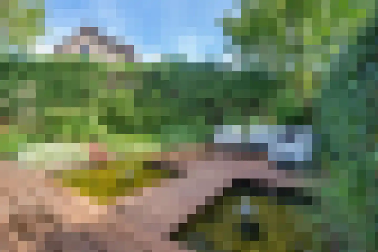 Silkeborg 3 Capelle aan den IJssel thumbnail 42