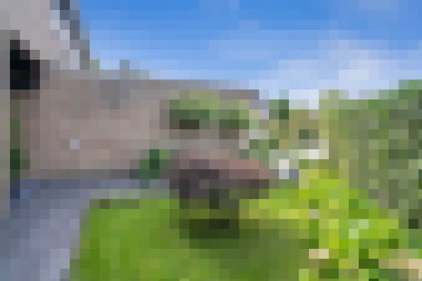 Silkeborg 3 Capelle aan den IJssel thumbnail 47
