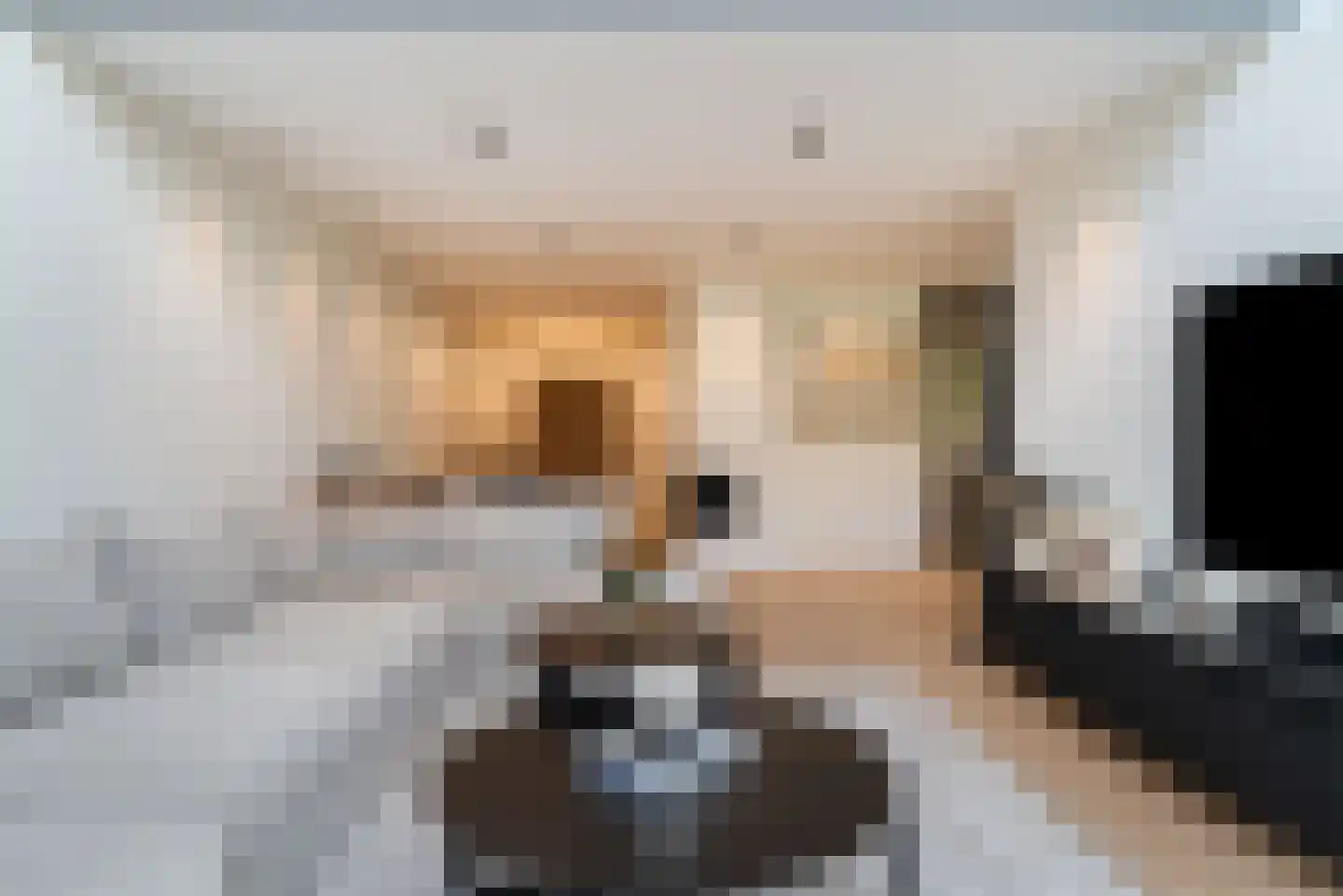 Silkeborg 3 Capelle aan den IJssel thumbnail 8