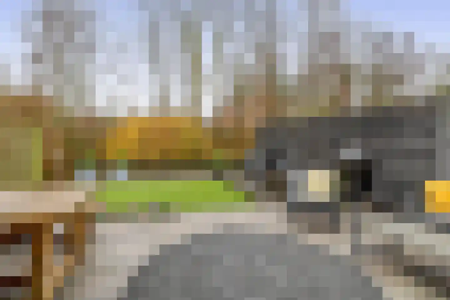 Silkeborg 35 Capelle aan den IJssel thumbnail 50
