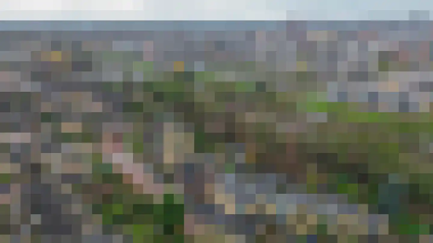 Silkeborg 35 Capelle aan den IJssel thumbnail 59