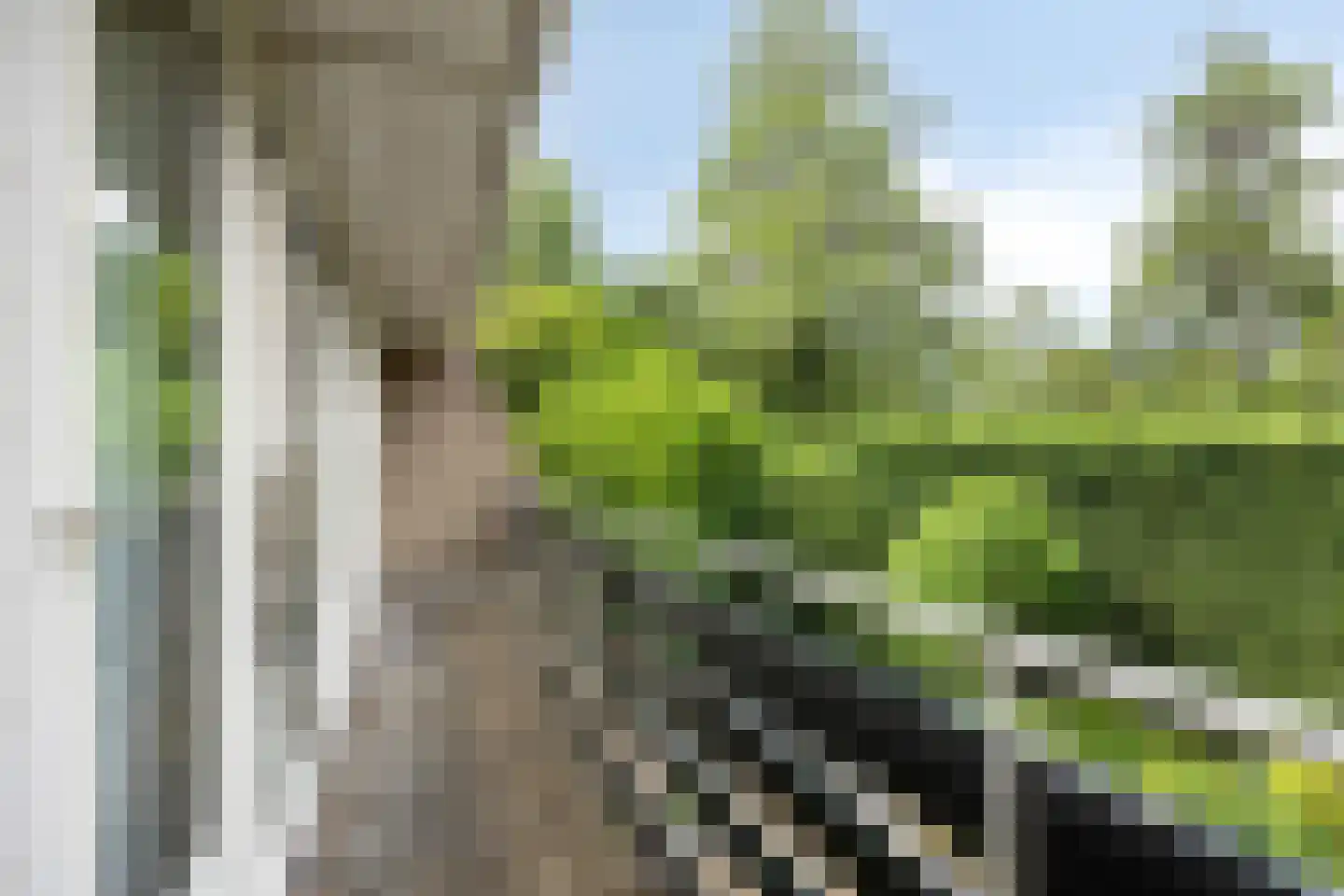 Silkeborg 69 Capelle aan den IJssel thumbnail 17