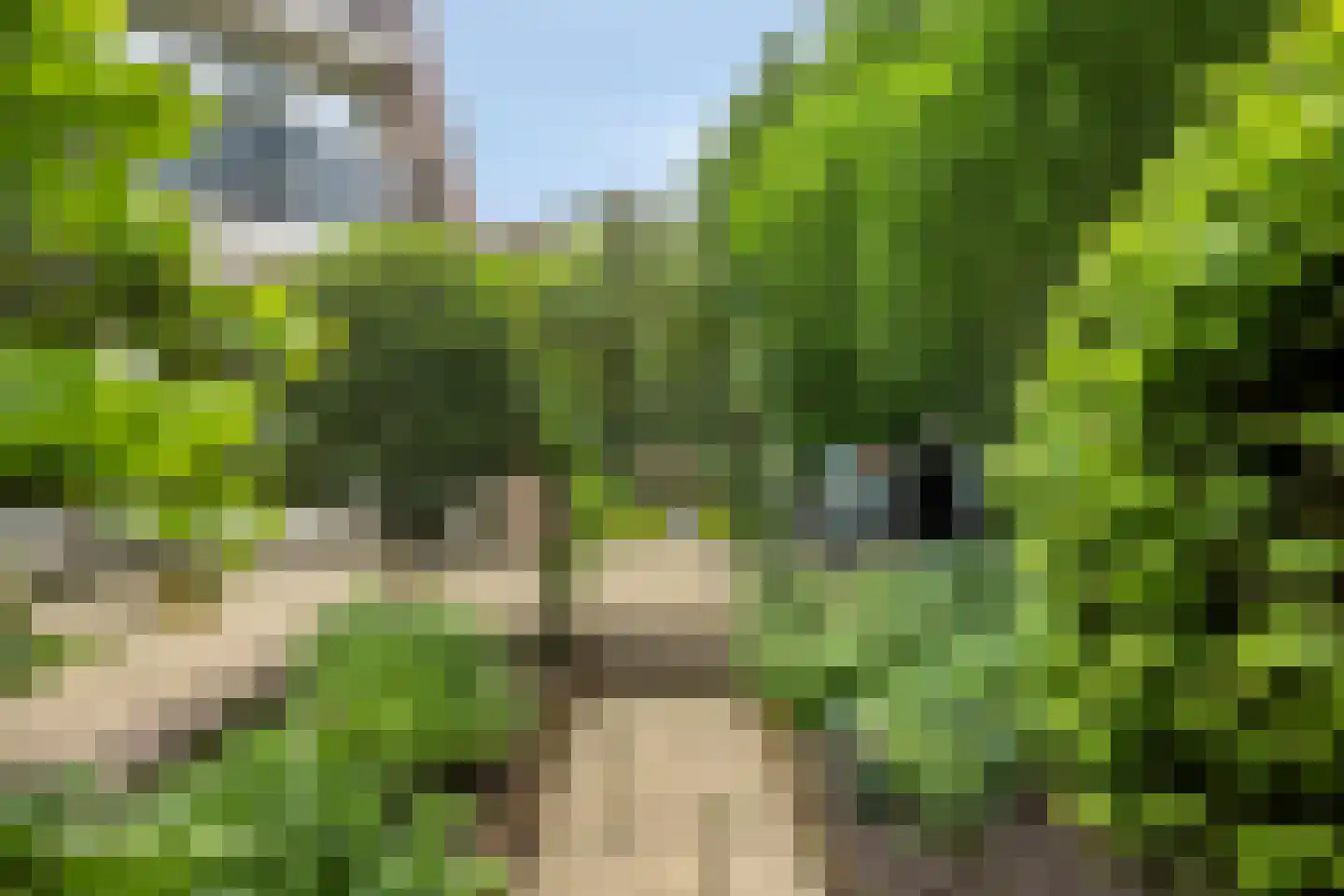 Silkeborg 69 Capelle aan den IJssel thumbnail 33