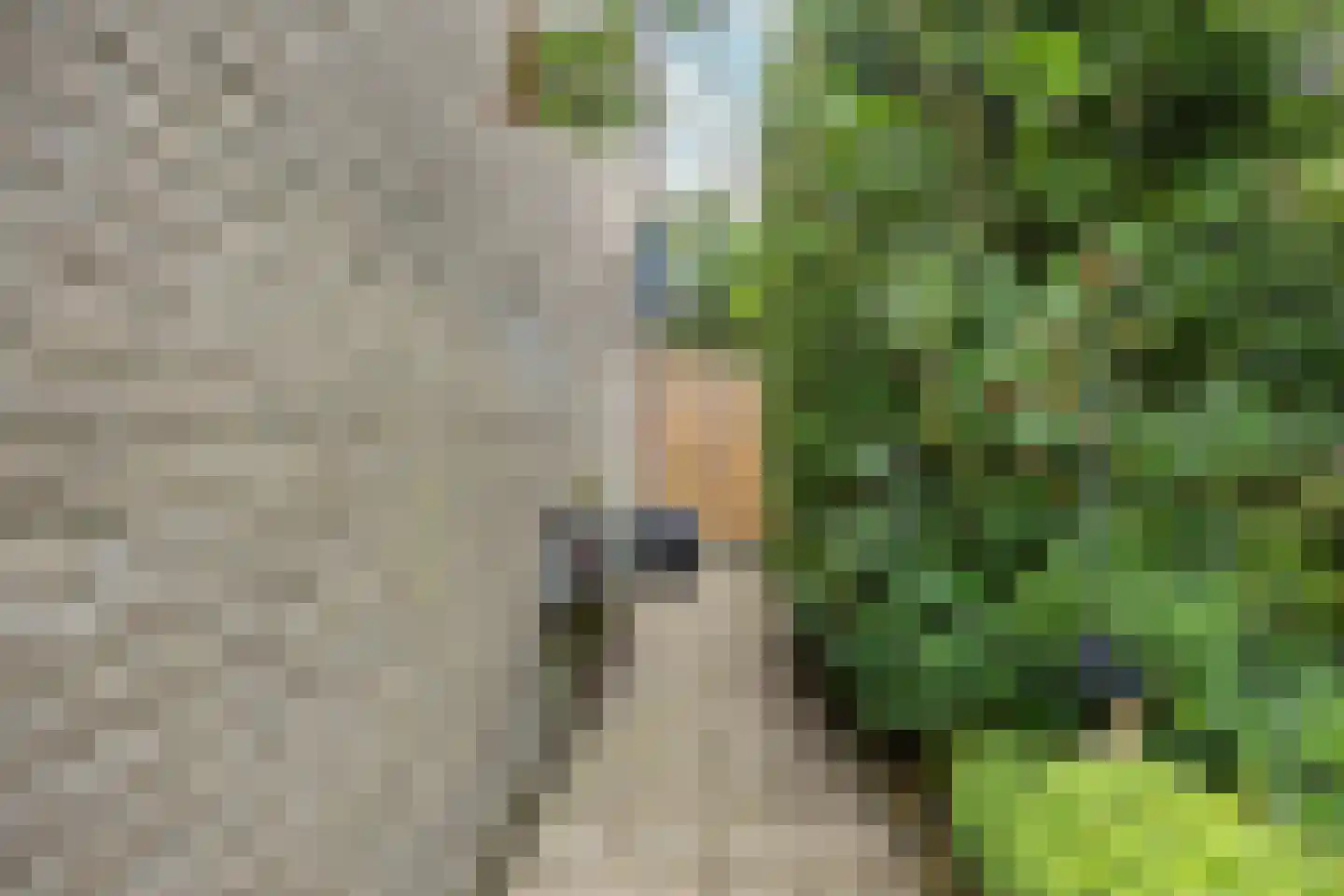Silkeborg 69 Capelle aan den IJssel thumbnail 36