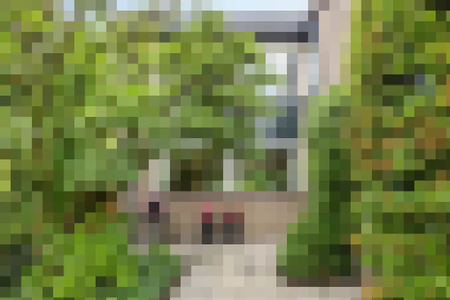 Silkeborg 69 Capelle aan den IJssel thumbnail 37